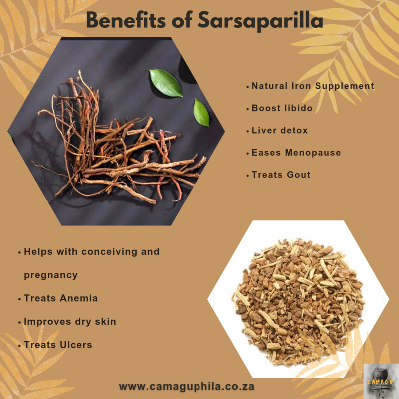 Sarsaparilla root 60 Capsules