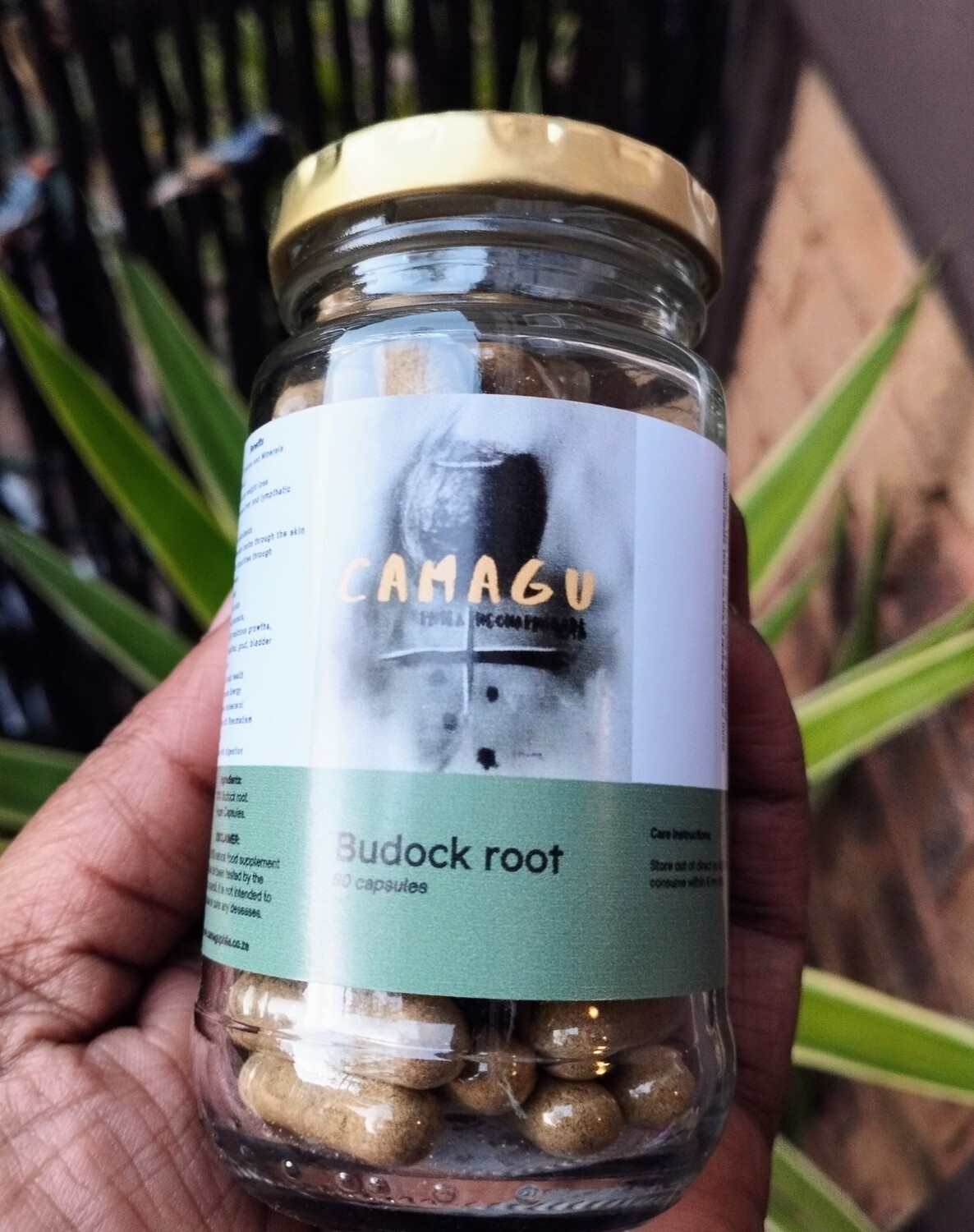 Budock root 60 Capsules