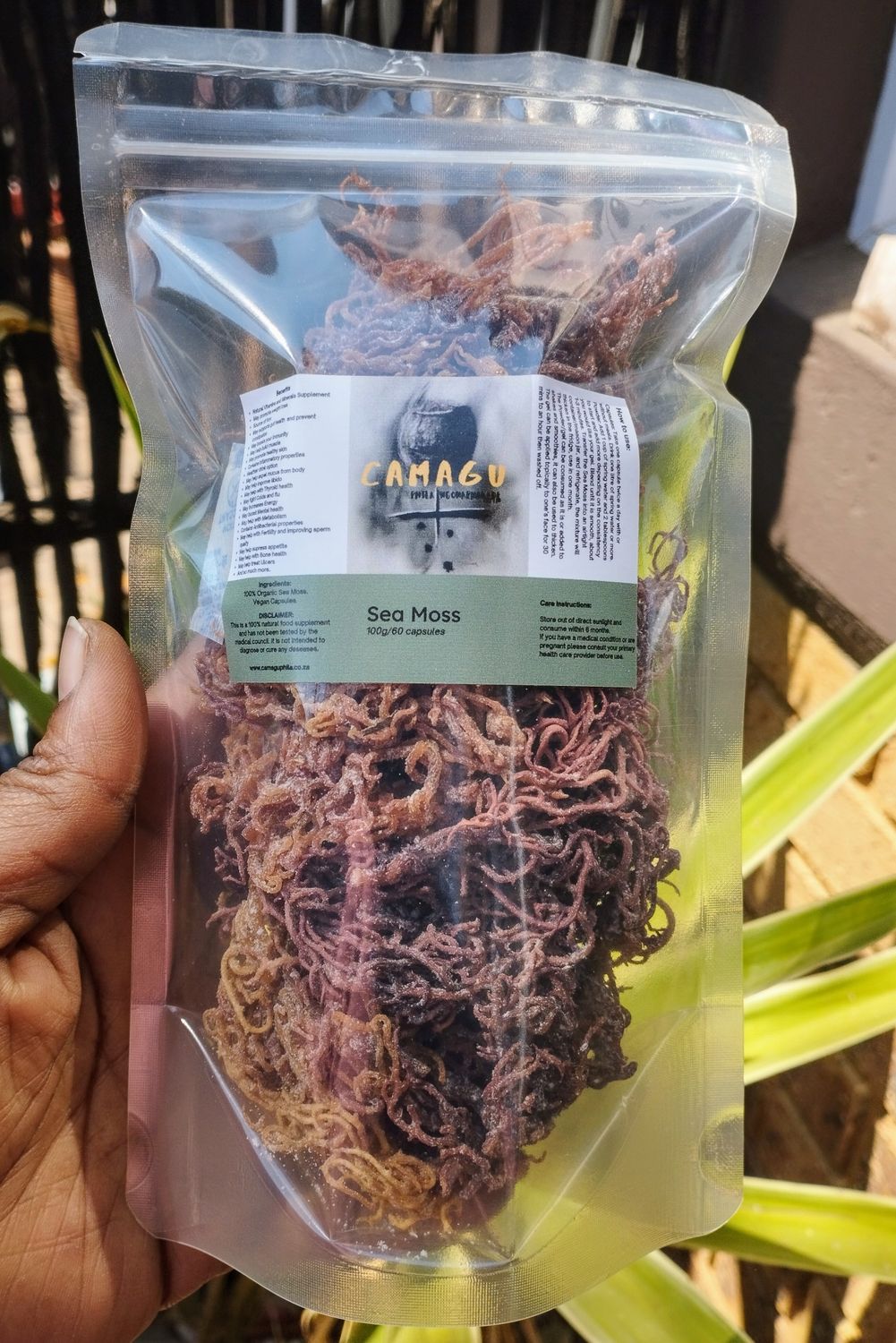 Raw Sea Moss 100g (Mixed, wildcrafted)