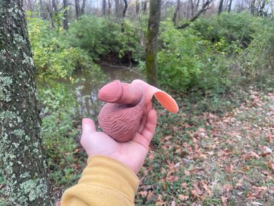 Andoilini [3D] - 2.5”