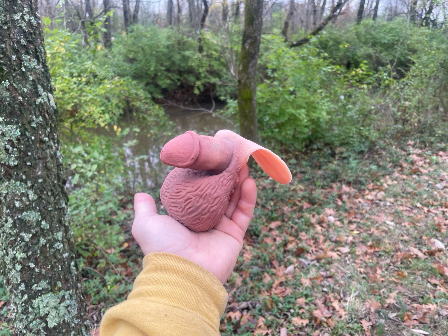 Andoilini [3D] - 2.5”