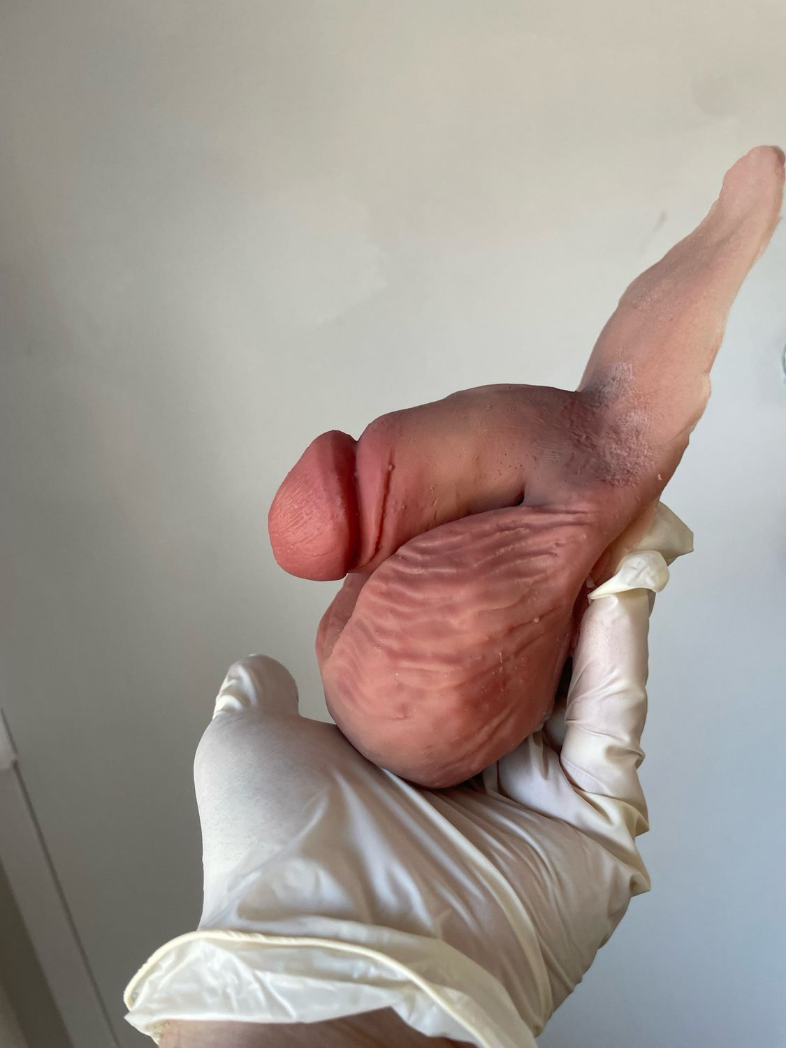 Liverwurst Cut [Flat Back] - 3.5”