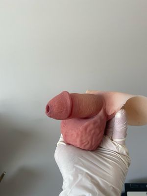 Andoillette STP [3D]