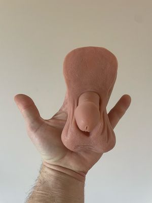 Vienna Basic &lt;Flat Back&gt;