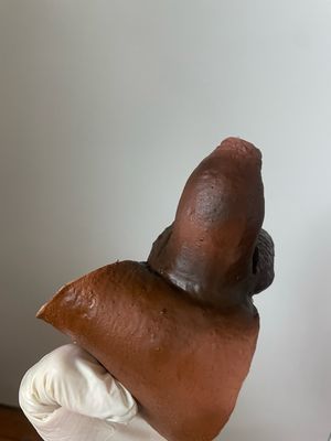 PREMADE! Chupa Chap Dark F3+ Testes
