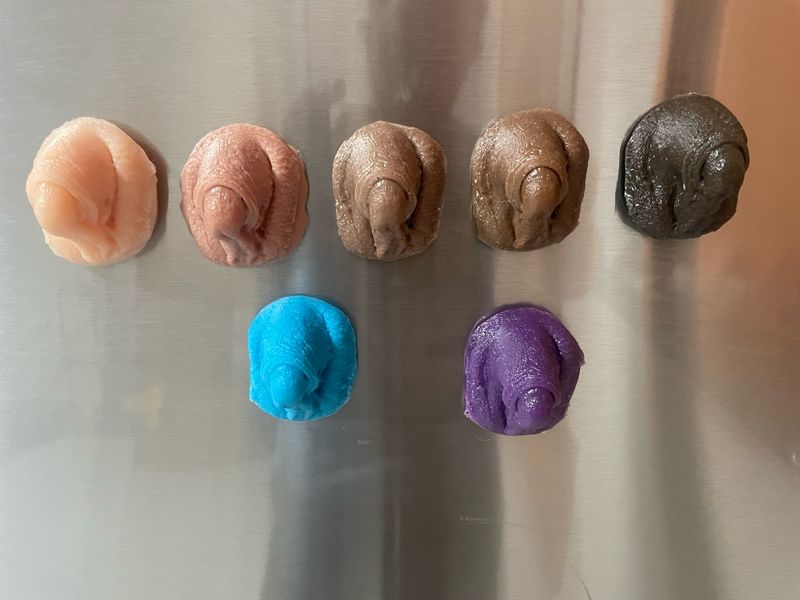 Sausage Magnet