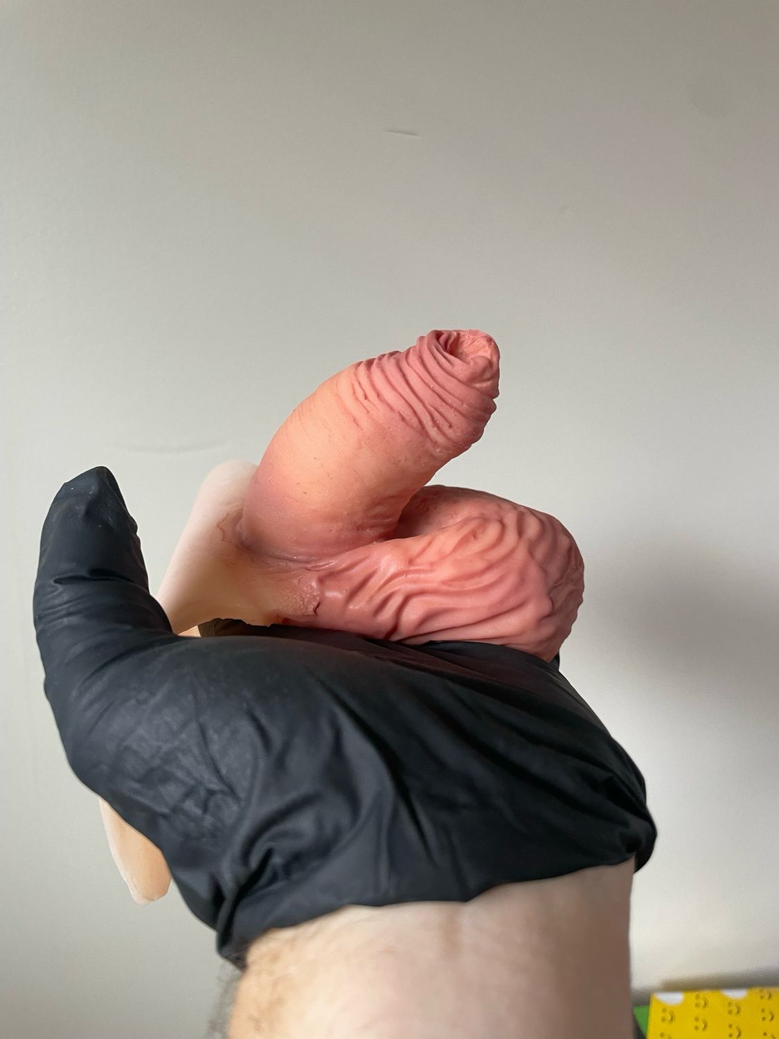 Light Roast Kolby STP with Testes - 3.2”