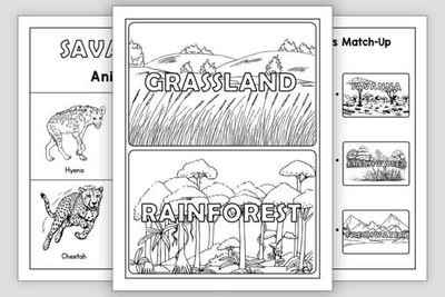 Animal Habitat Match-Up Worksheets