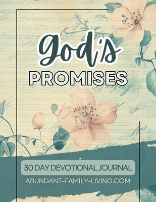 God&#39;s Promises:  30 Day Devotional Journal