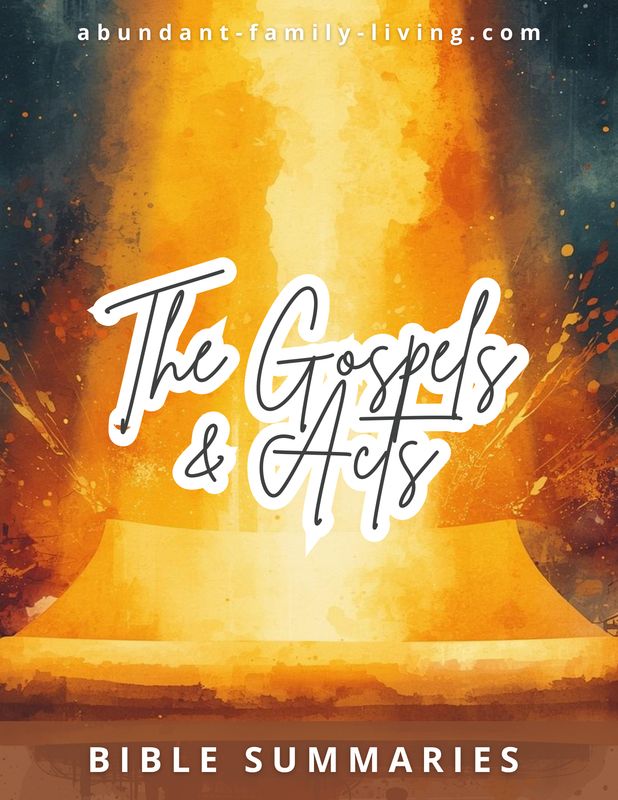 The Gospels and Acts Bible Summaries