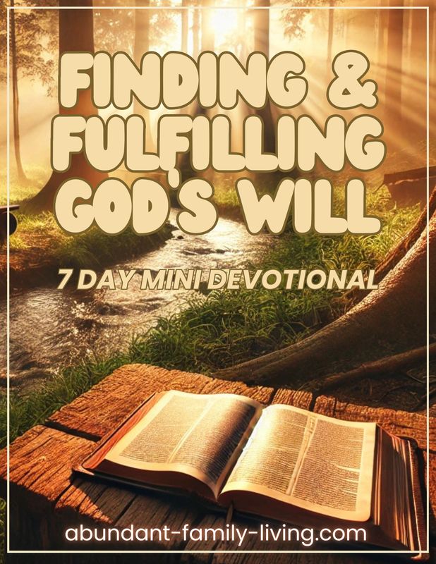 Finding and Fulfilling God's Will:  7 Day Mini Devotional