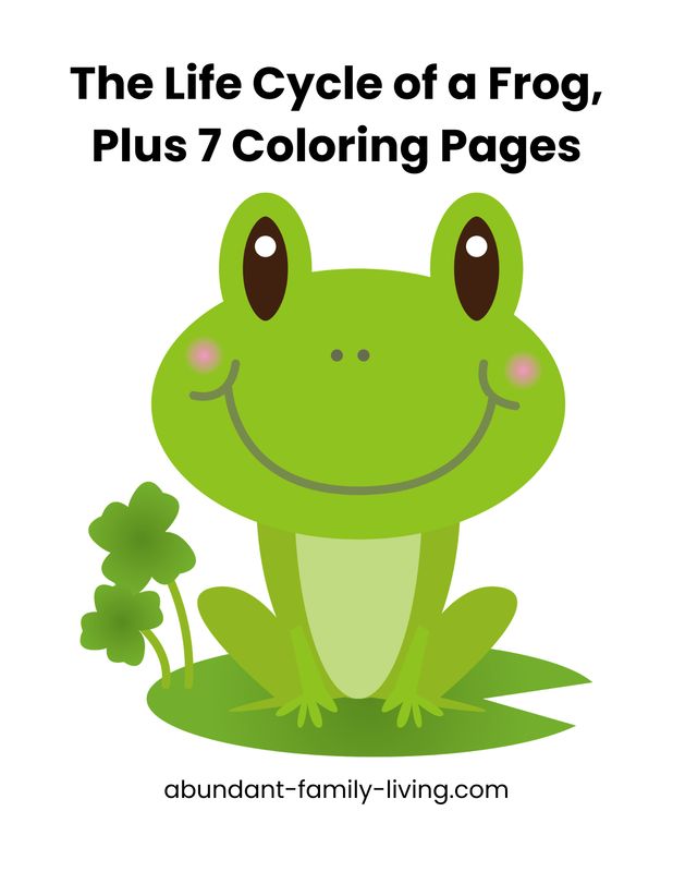 Life Cycle of a Frog Printable Pack + 7 Frog Coloring Pages | Frog Life Cycle Worksheet | Amphibian Unit Study | Homeschool Science Printable