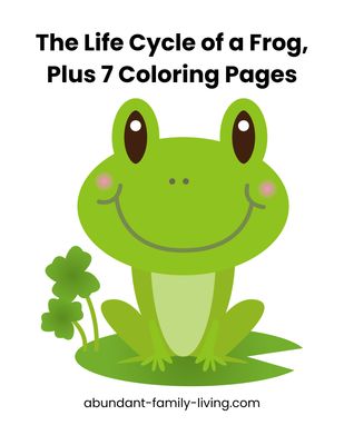 Life Cycle of a Frog Printable Pack + 7 Frog Coloring Pages | Frog Life Cycle Worksheet | Amphibian Unit Study | Homeschool Science Printable