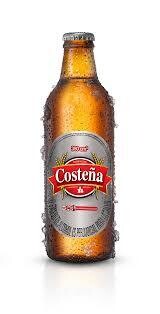 CANASTA COSTEÑA GRIS