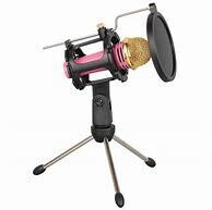 Teyun Mic, filter and stand Kit