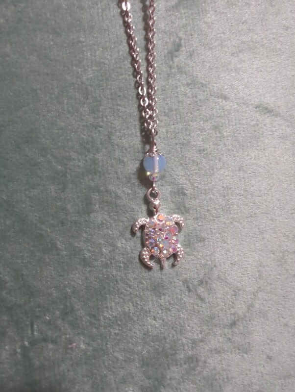 Tortue d&#39;hiver 
