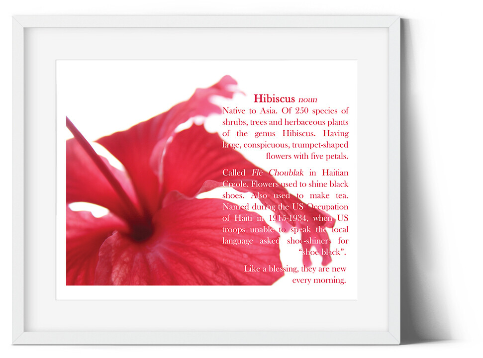 Hibiscus Definition Art Print