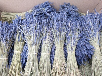 Dried lavender bunches