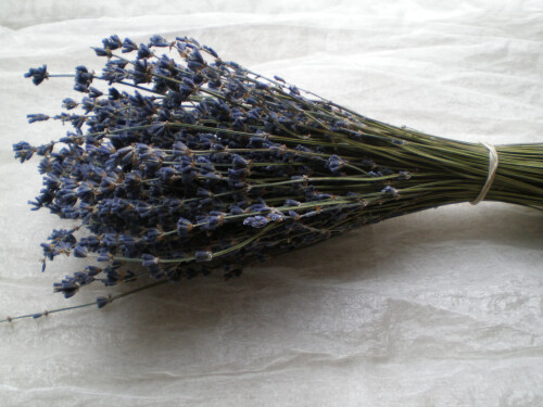 Lavender Bunch Blue Small
