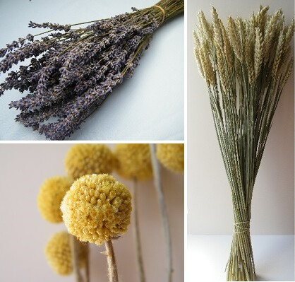 Popular dried flower bunches bundle offer popular dried flowers