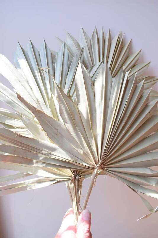 Palm sun natural handmade dried leaf 7 stem pack palm sun