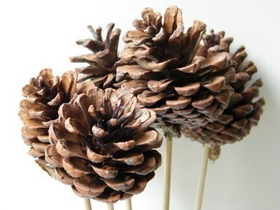 Natural pine cone stem 5 pack floristry