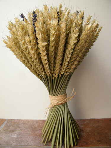 Wheat sheaf UK with lavender sprigs