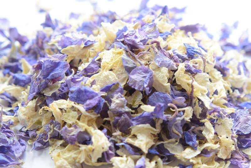 delphinium petal confetti blue ivory