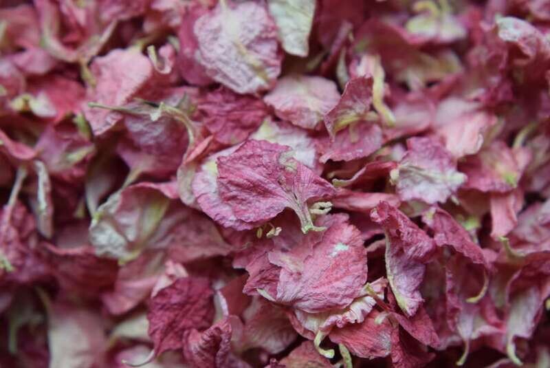 Raspberry Delphinium Petal Confetti