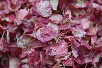 Raspberry delphinium petal confetti UK - dark pink