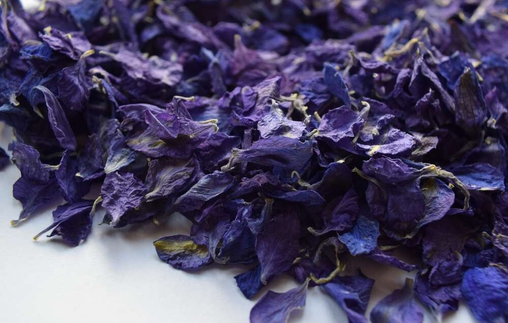 Indigo Delphinium Petal Confetti