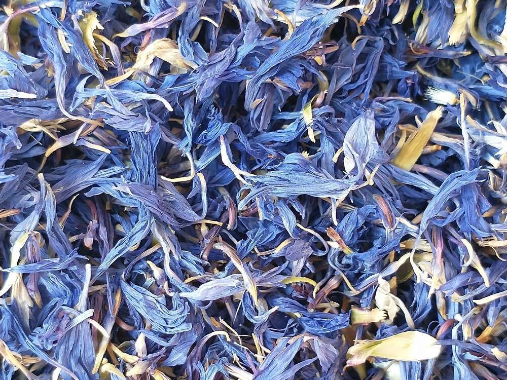 Pure dried cornflower petals blue