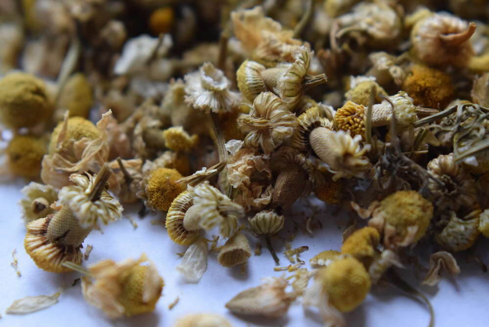 Dried chamomile flowers