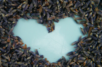 dried lavender confetti wholesale