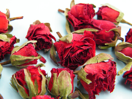 Bright red rose buds fragranced