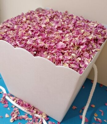 confetti box white cardboard