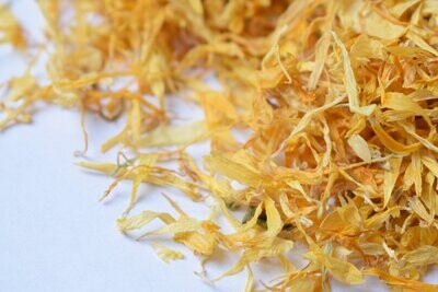 Wholesale Dried Flowers Crafting