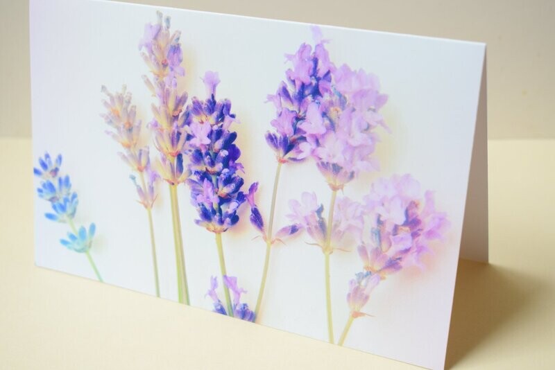 Greetings card blank - Lavender flower stems - Offer Greetings Card Lavender Stems
