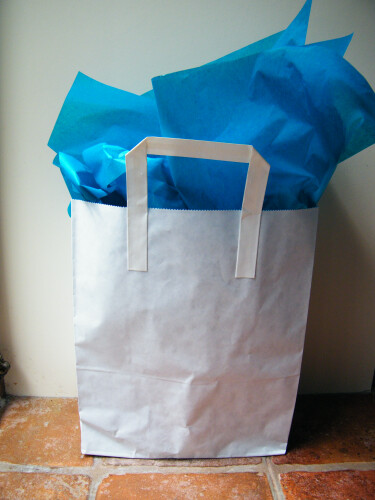 Paper carrier bag, pack of 10
