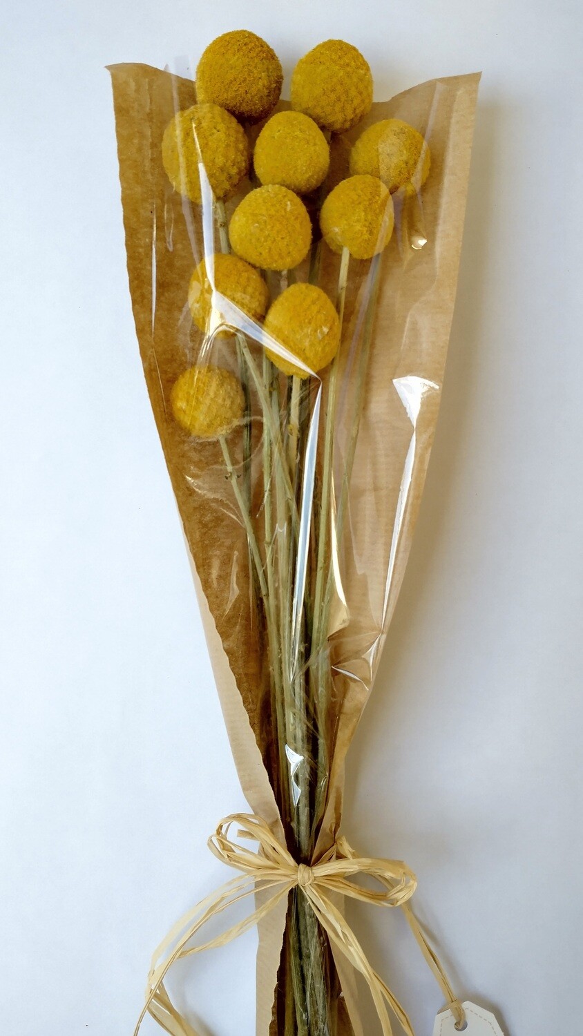 Craspedia dried flowers bouquet - Billy buttons gift