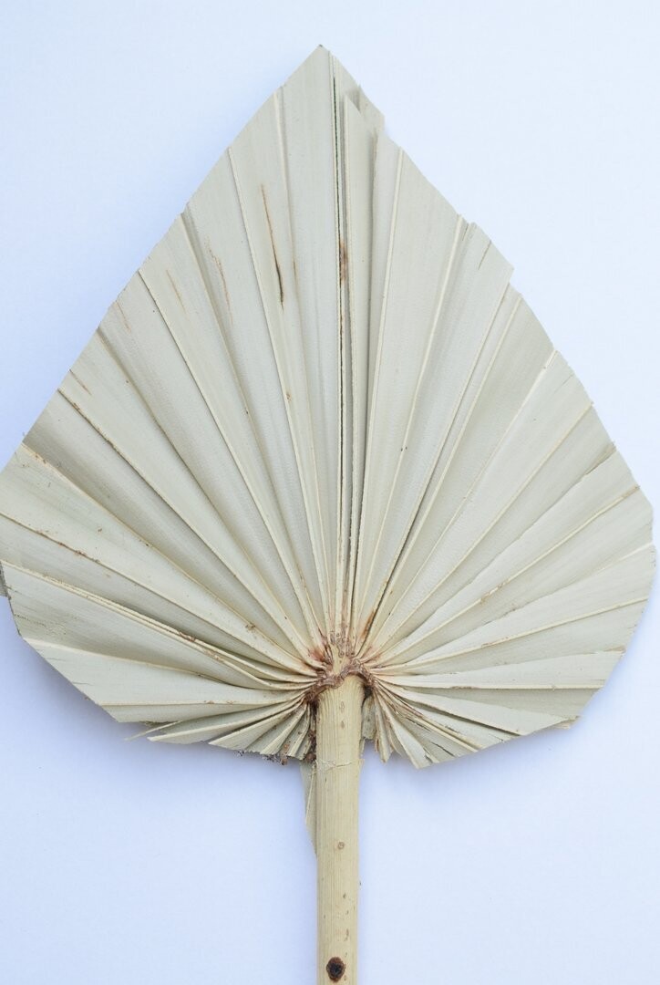 Palm spears natural handmade bulk packs