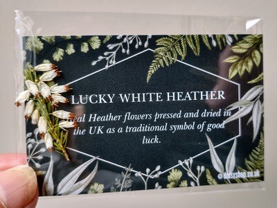 Lucky white heather flowers pressed UK