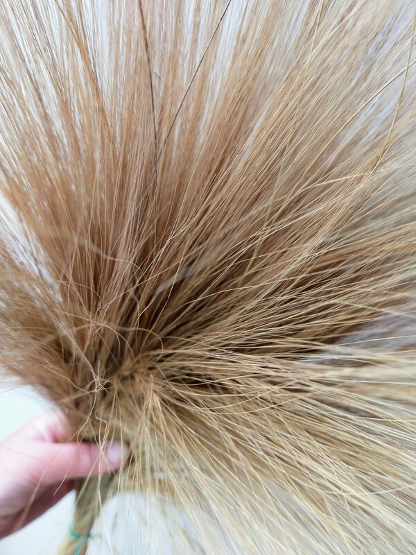 Dried Goats beard grass bunch natural dried grass brown