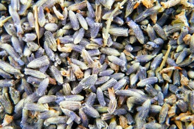 Dried lavender sweet smelling pale blue bulk