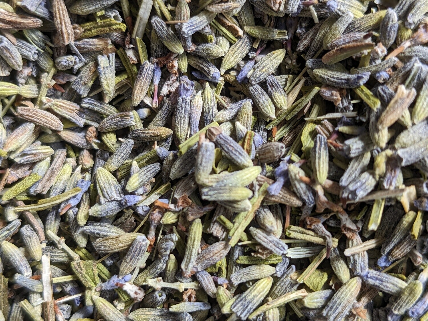 Dried lavender flowers fragrant &#39;Extra&#39; wholesale