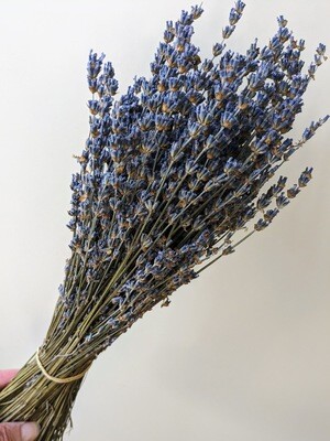 Lavender bunch mid blue dried Angustifolia