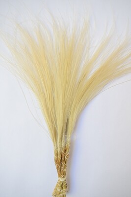 Feather Grass Dried Bunch
