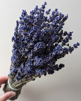 lavender bunch blue dry