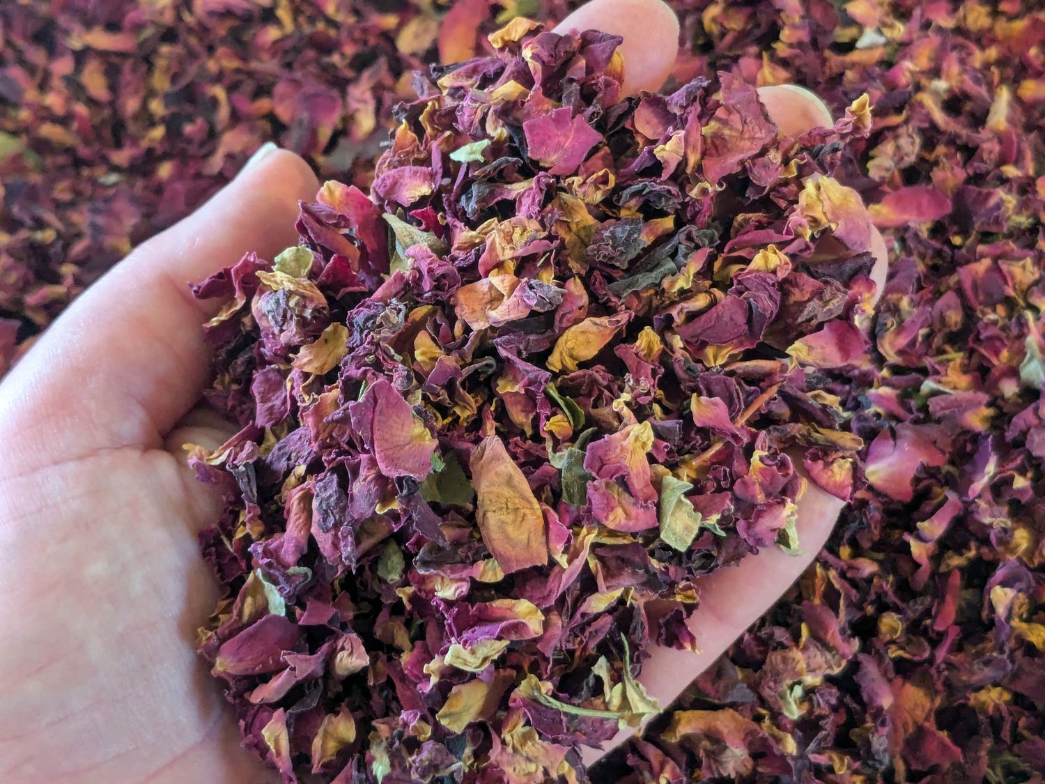 red rose petals dried seconds natural