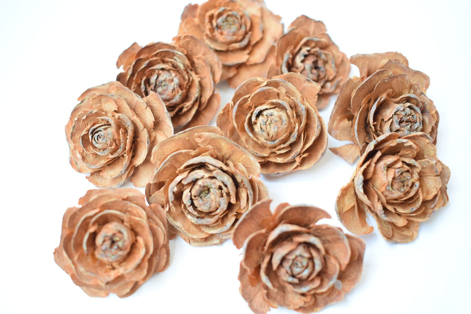 cedar roses natural ten